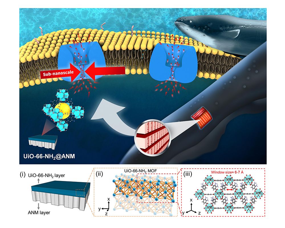 NTU Team Researches on High-performance Osmotic Power Generators in Bionic Ion Channels Published in Science Advances-封面圖