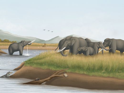 重建臺灣更新世時期的生態系：非洲大草原在臺灣圖