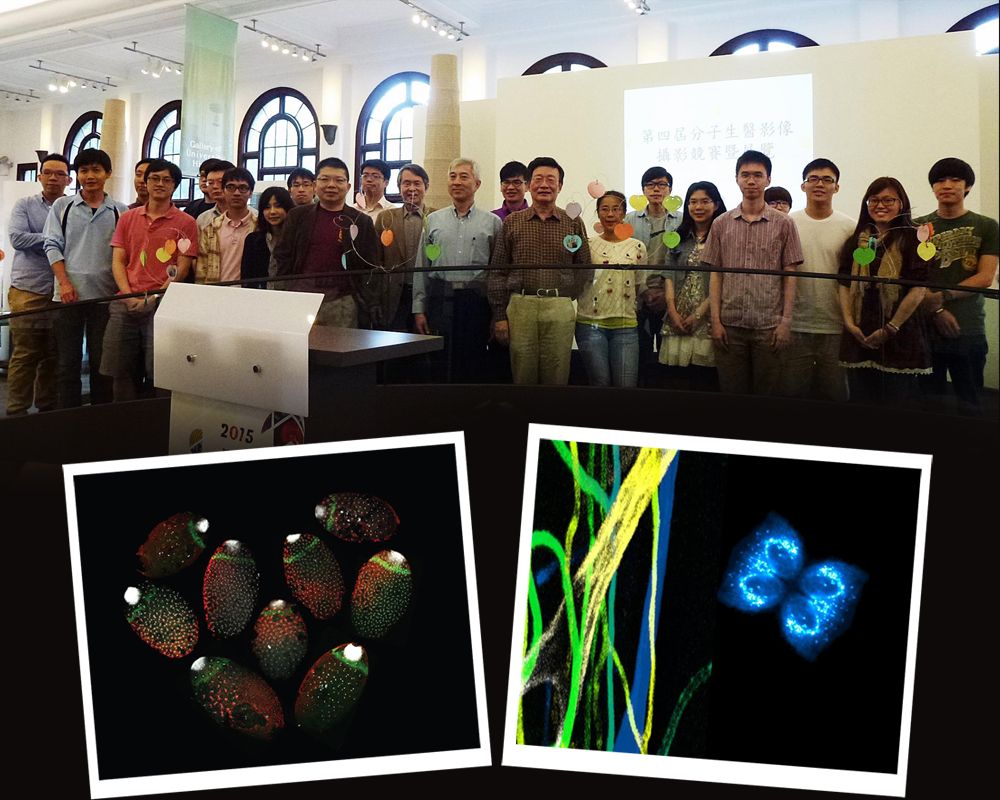 2015 第四屆分子生醫影像攝影競賽曁展覽 5/4 開幕-封面圖