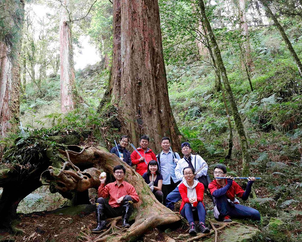 大雪山樹輪解開臺灣八百年夏秋季颱風秘密「中太平洋型聖嬰」紀錄-封面圖