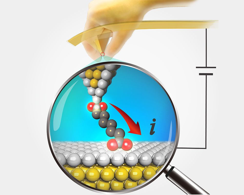 微觀世界的單分子電子學發展大邁進—嶄新電極架構獲登國際頂尖期刊《Nature Materials》-封面圖