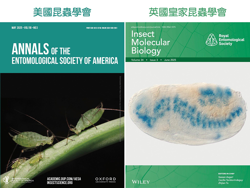 臺大昆蟲學系教授張俊哲團隊的蚜蟲基因研究 同登美英期刊封面-封面圖